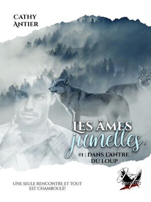cover image of Les âmes jumelles, Tome 1